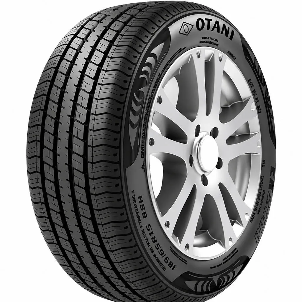 Otani 205/65R16 95H EK2000