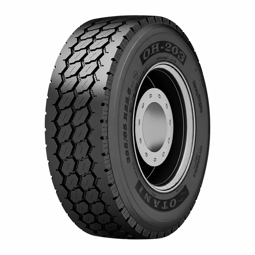 Otani 385/65 R22,5 160K M+S OH-203 PR20