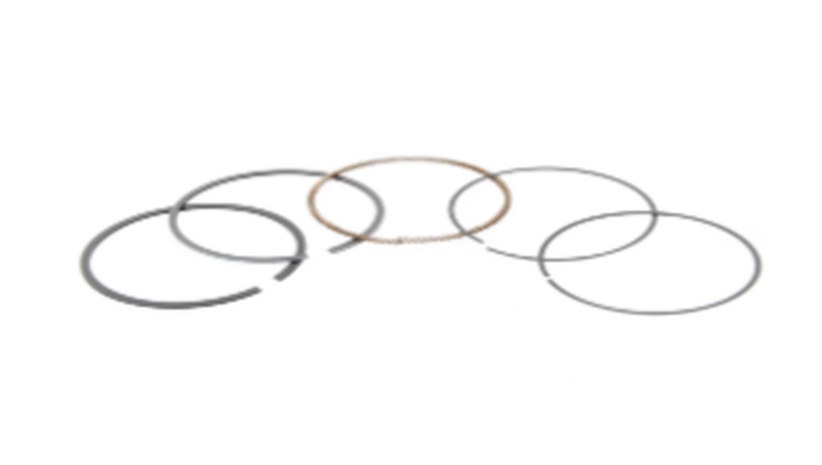 Piston rings PROX 02.1495.025