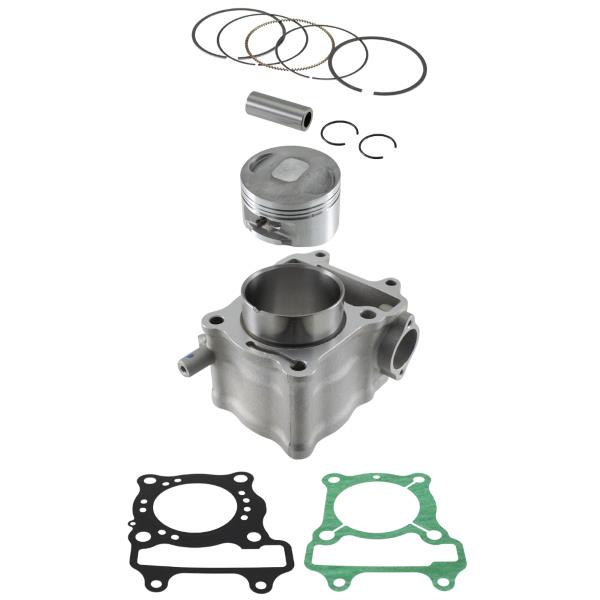 RMS complete cylinder HONDA fes 150 S-WINGS 07-09; fes 150 pantheon 00-02; nes 150 dylan 02-04; sh 150 01-11 (goetze) (100080730)