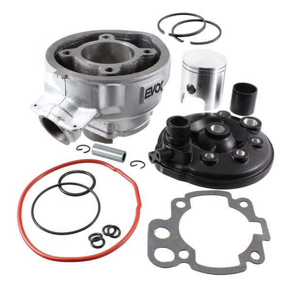 RMS Complete Cylinder MINARELLI AM6 D.49 73.5CC (EVOK) (100081330)