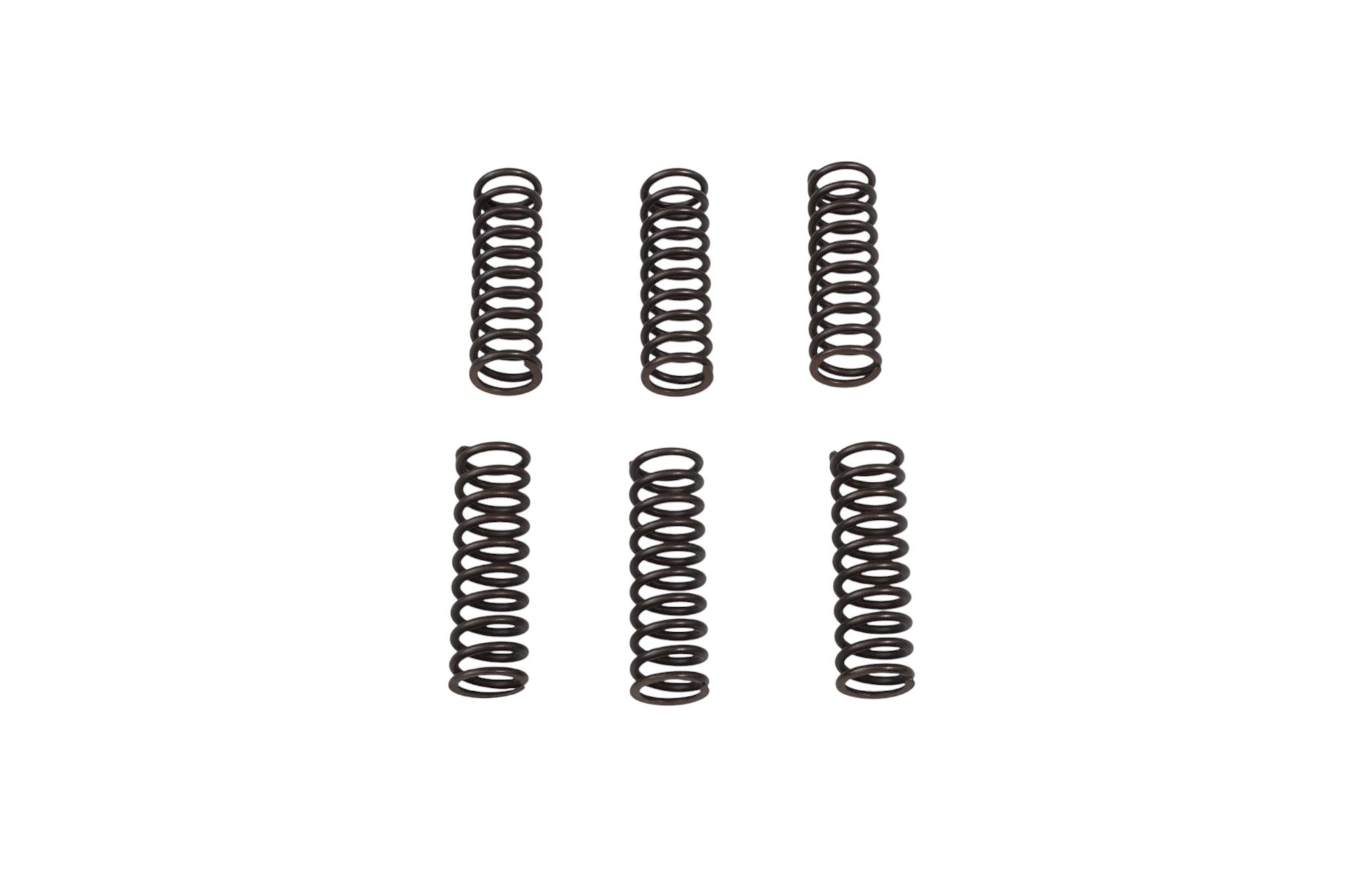 Clutch springs PROX 17.CS14021
