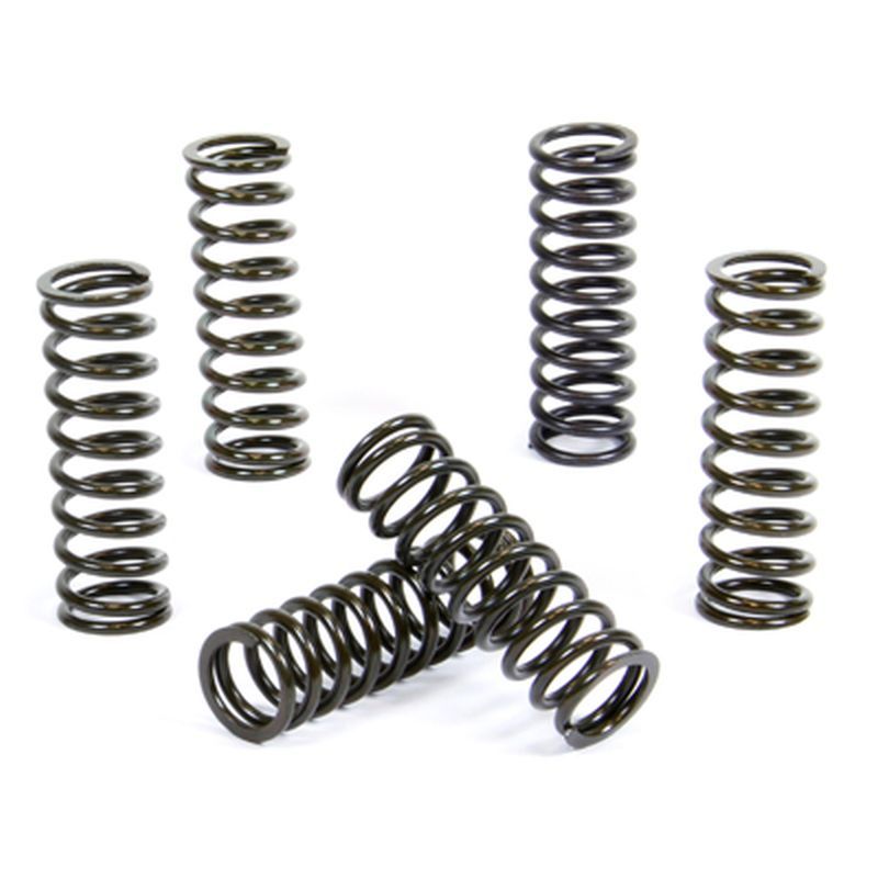 Clutch springs PROX 17.CS24038