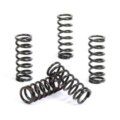 Clutch springs PROX 17.CS31021