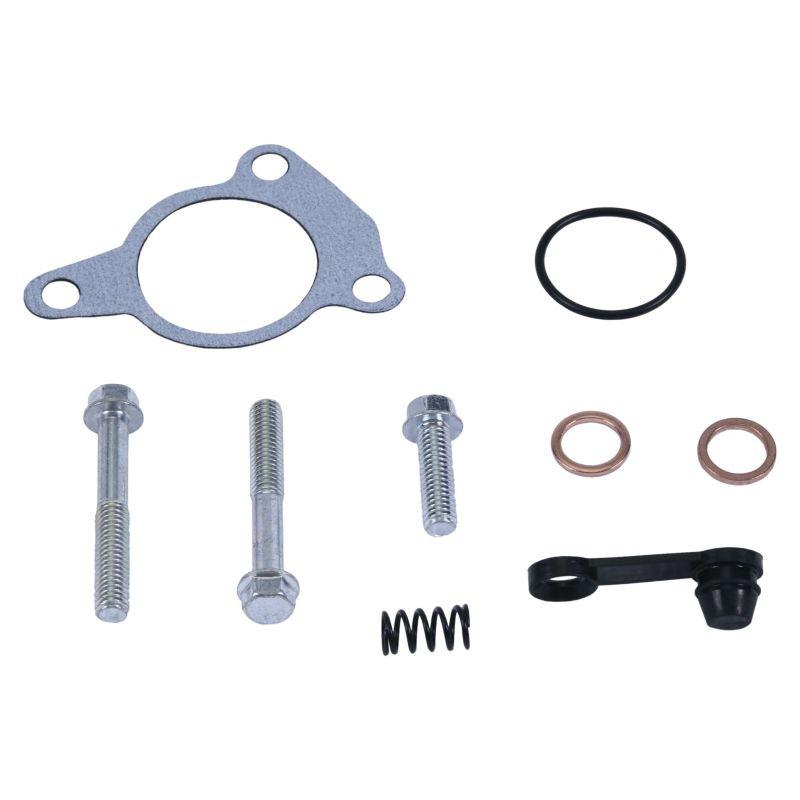 Repair kit boosters (radiator fan) clutches ALL BALLS 18-6039