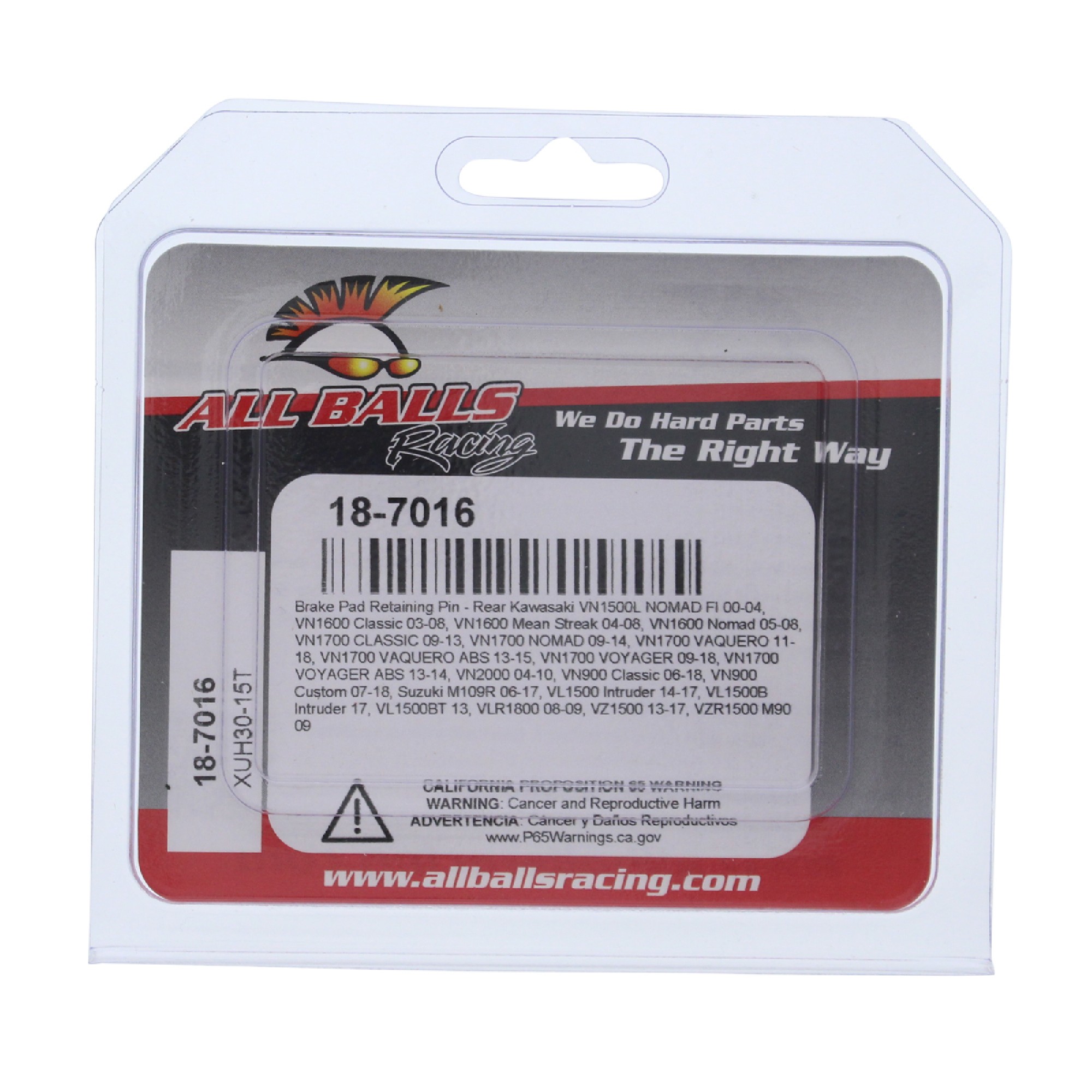 ALL BALLS čepy brzdových destiček zadní KAWASAKI VN 900/1500/1600/1700, SUZUKI VL 1500, VLR 1800, VZR 1500