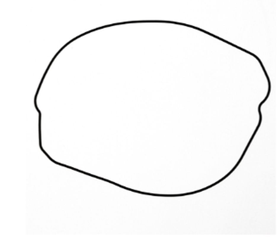 Clutch cover gasket PROX 19.G1302