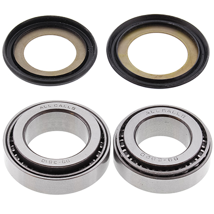 Steering bearings ALL BALLS 22-1018