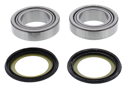 Steering bearings ALL BALLS 22-1077