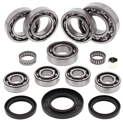 Rear differential repair kit ALL BALLS 25-2090