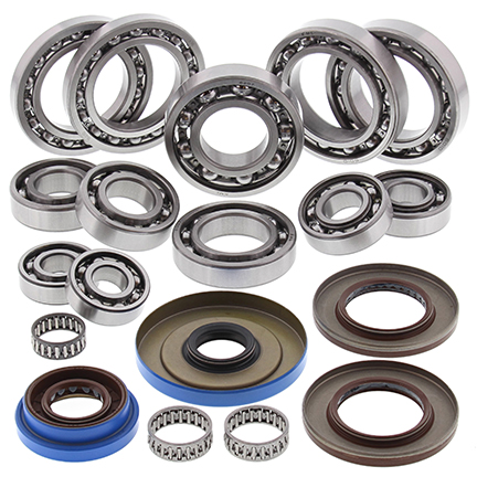 Rear differential repair kit ALL BALLS 25-2103