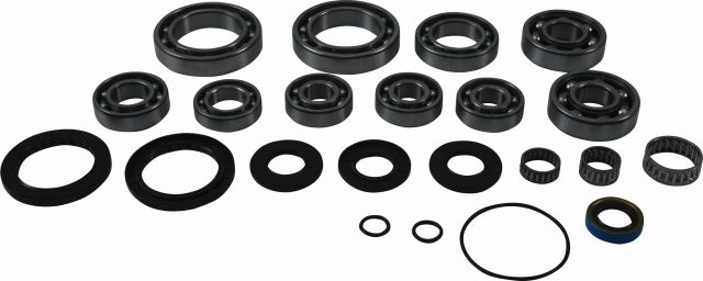 Rear differential repair kit ALL BALLS 25-2129