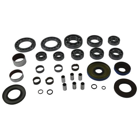 Rear differential repair kit ALL BALLS 25-2131