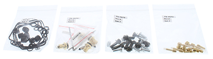 Carburettor repair kit ALL BALLS 26-1700