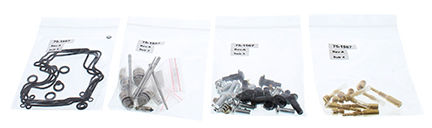 Carburettor repair kit ALL BALLS 26-1704