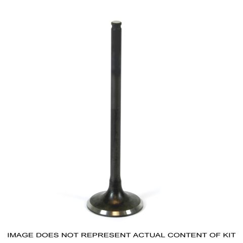 Intake valve PROX 28.1070-2