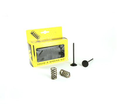 Exhaust valves /setspringmi/ PROX 28.SES2414-1