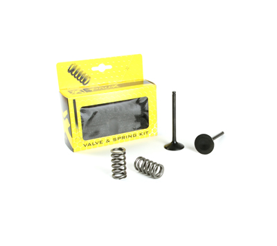 Exhaust valves /setspringmi/ PROX 28.SES2444-1