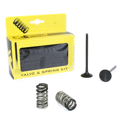 Exhaust valves /setspringmi/ PROX 28.SES6329-1