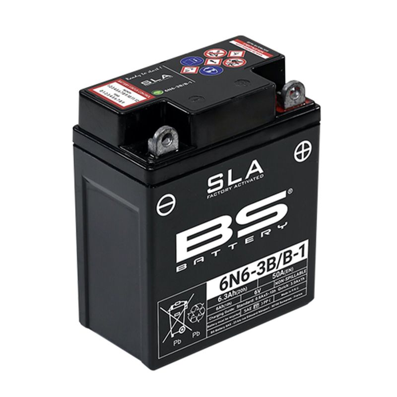 BS battery 6N4-2A/A-4 (FA) 6V 4AH 71X71X93 maintenance-free - factory activated (25A) (10)