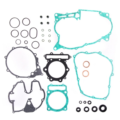Complete gasket set including complete engine gasket PROX 34.1613