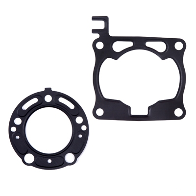 Gasket PROX 36.1205