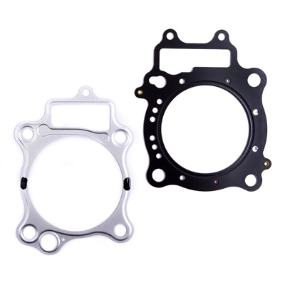 Gasket PROX 36.1304