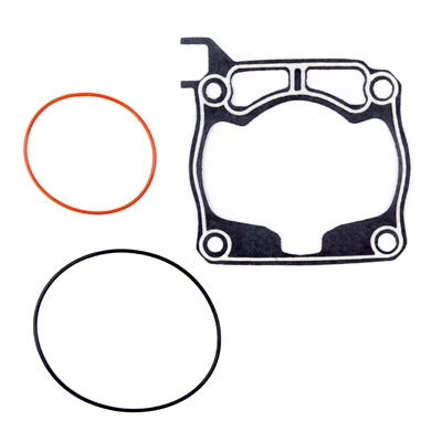 Gasket PROX 36.2205