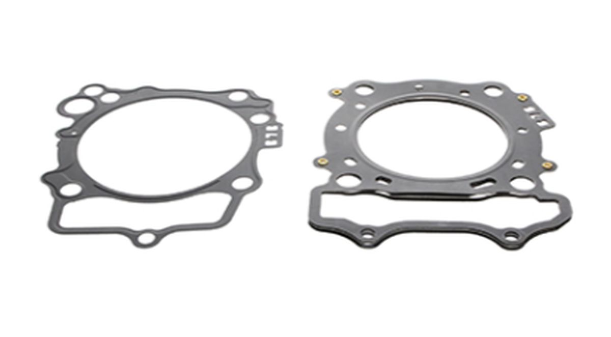 Gasket PROX 36.2319