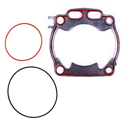 Gasket PROX 36.2399