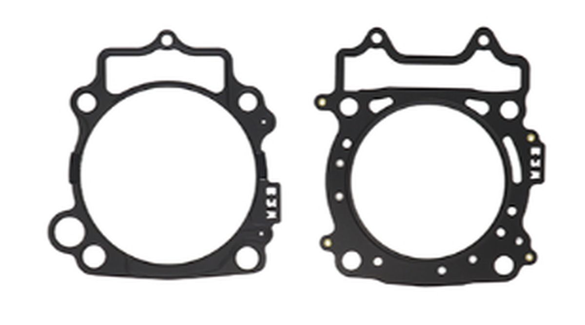 Gasket PROX 36.2450