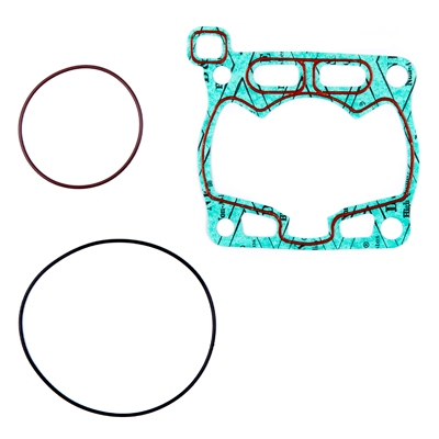 Gasket PROX 36.3191
