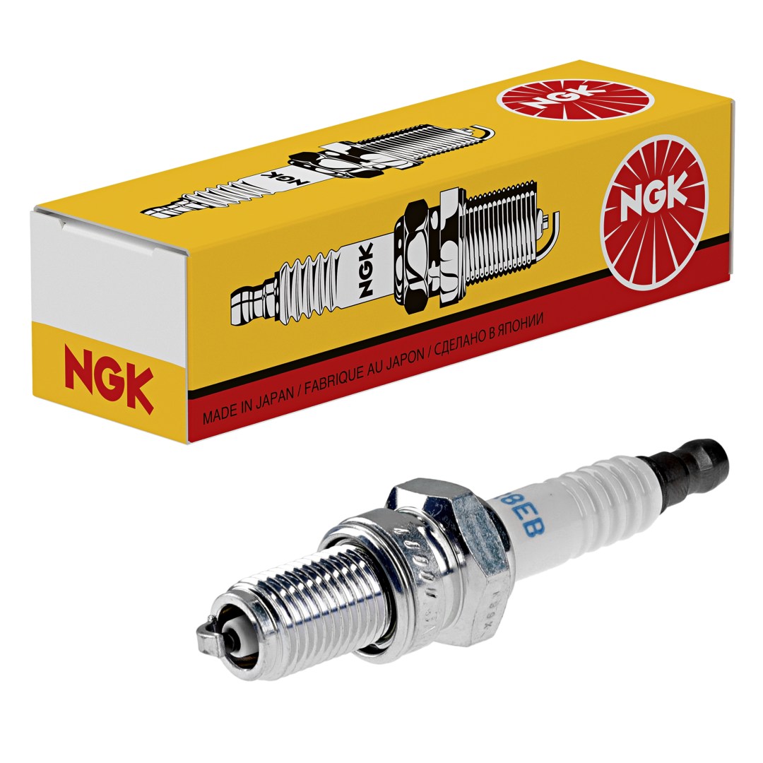 Spark plug NGK 4855
