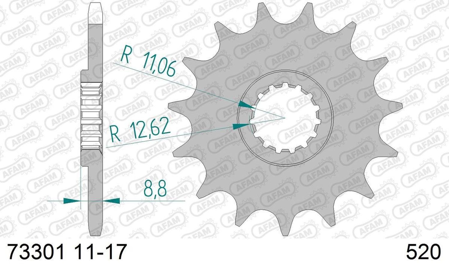 AFAM pastorek přední 1248 15 KTM SX/EXC '91-'25 (řetěz 520) (JTF1901.15)