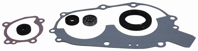 WINDEROSA (VERTEX) opravná sada vodní pumpy POLARIS 400 94-02