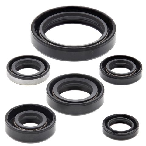 Winderaxis(vertex) engine bearing kit KAWASAKI KLX250R 94-96, KLX250S 06-18, KLX250Sf 09-10, KLX300(r) 97-07 (822137)