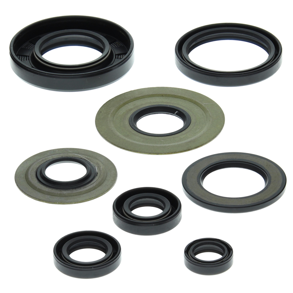 Winderaxis(vertex) engine bearing kit YAMAHA YFM350 raptor 04-13, warrior 350 87-04 (822155)