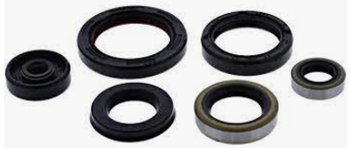 Winderaxis(vertex) engine bearing kit YAMAHA YZ250(yz 250) 01 (822174)
