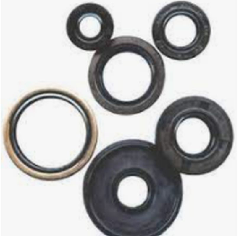 Winderaxis(vertex) engine bearing kit KTM mini adv 50 97-00 (822184)