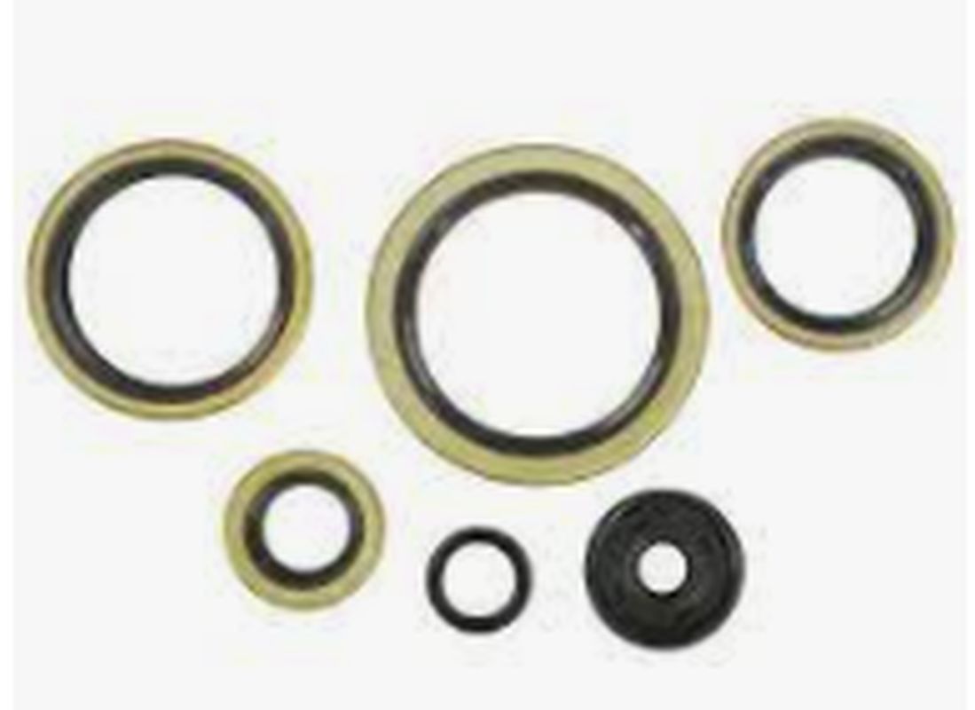 WINDEROSA (VERTEX) sada gufer motoru KTM EXC 300 94-03, EXC 360 96-97, EXC 380 98-02, MXC 300 94-03, MXC 360 96-97, MXC 380 98-01, SX 300 94, SX 360