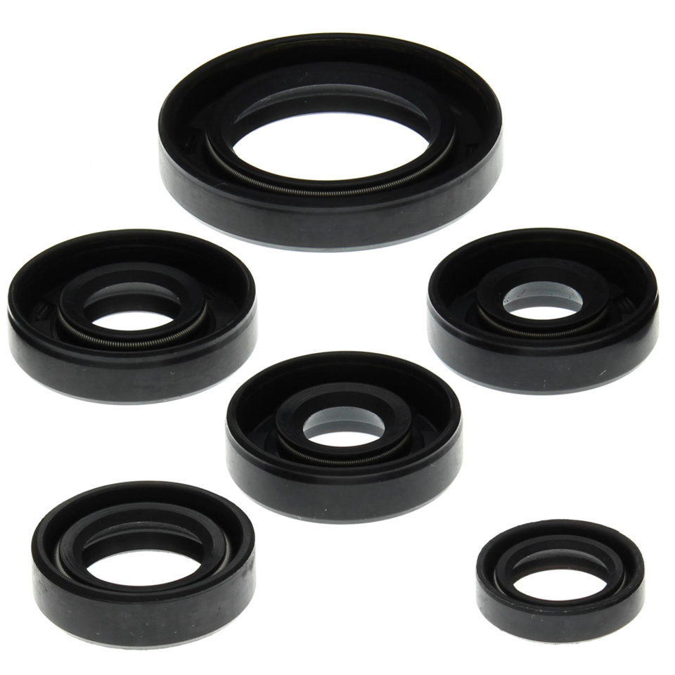 Winderaxis(vertex) engine bearing kit CAN-AM DS650 00-07 (822203)