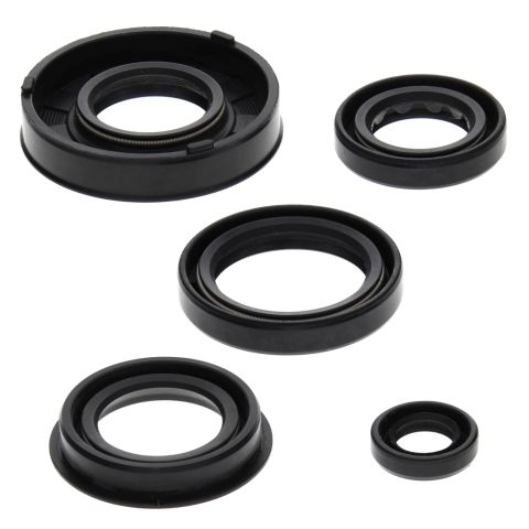 Winderaxis(vertex) engine bearing kit arctic cat 50 Y-6 04-05, 90 2-styeare 02-04, 90 utility 2x4 06, CAN-AM ds 50 02-04, quest 50 03 (822217)