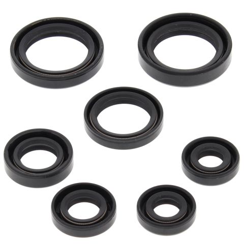 Winderaxis(vertex) engine bearing kit HONDA TRX350FE 00-06, TRX350FM fourtrax rancher 00-06, TRX350TE 00-06, TRX350TM fourtrax rancher 00-06 (822236)