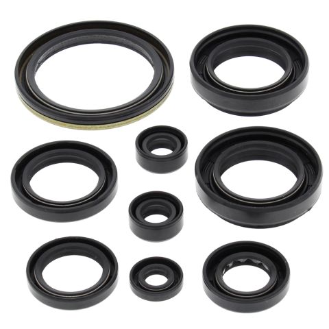 WINDEROSA (VERTEX) sada těsnění motoru ARCTIC CAT 500 4X4 W/AT 00-02, 500 FIS 4X4 W/AT 02-09, SUZUKI LT-A500F QUAD MASTER AUTO 00-01, LT-A500F VINSON 02-07