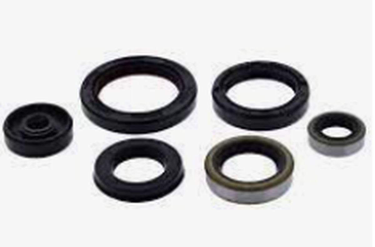 Winderaxis(vertex) engine bearing kit YAMAHA TTR90 00-08 (822272)