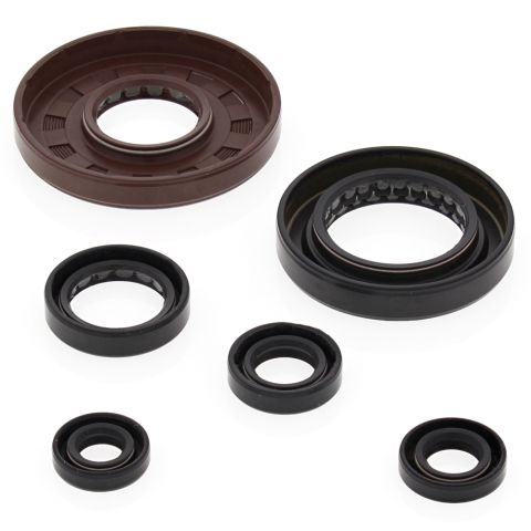 Winderaxis(vertex) engine bearing kit HONDA TRX500FE 05-11, TRX500FPE 07-11 (822276)
