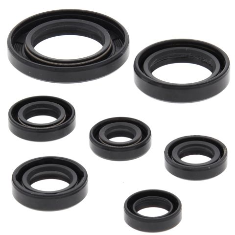 Winderaxis(vertex) engine bearing kit HONDA TRX250TE recon 02-21, TRX250TM recon 02-21, TRX250X / ex sportrax 01-21 (822311)