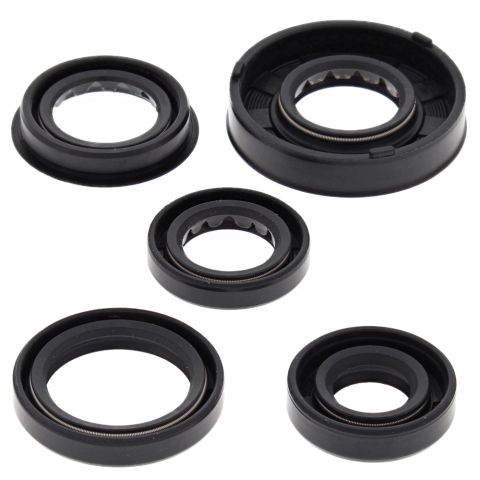 Winderaxis(vertex) engine bearing kit polaris predator 90 05-06, sportsman 90 05-06 (822322)