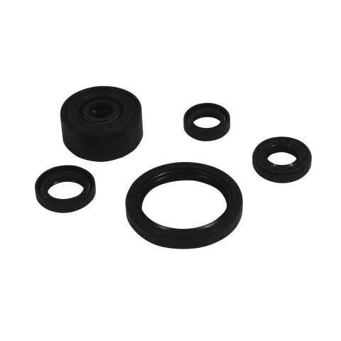 Winderaxis(vertex) engine bearing kit YAMAHA wr 250r dual sport 18-22 (822377)