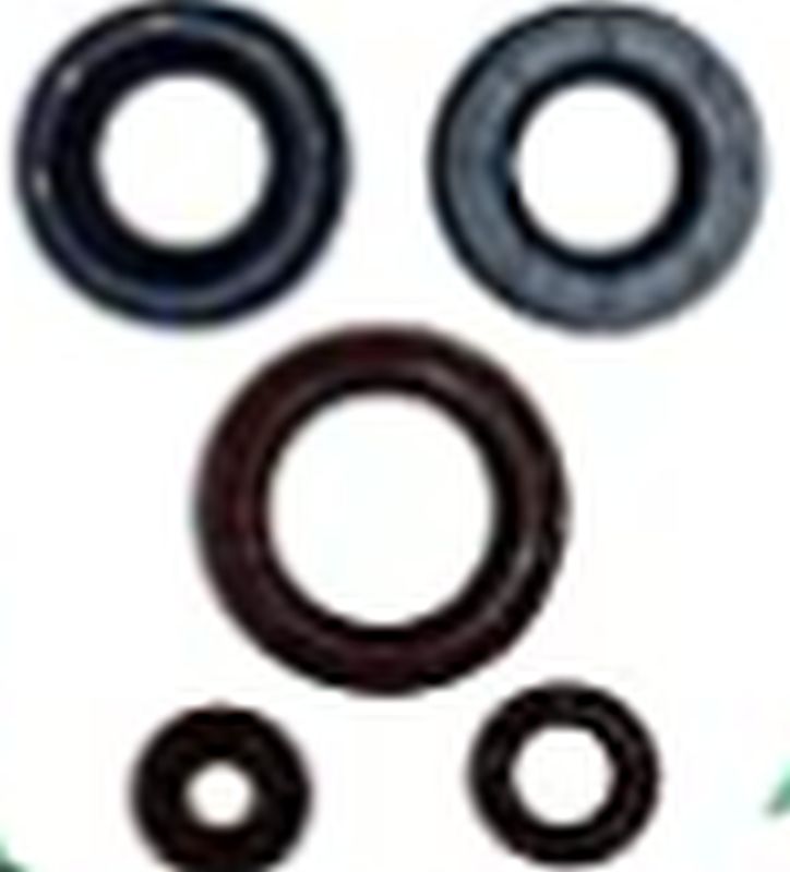 Winderaxis(vertex) engine bearing kit CAN-AM outlander dps 450 efi 15-20, outlander max dps 450 efi 15-20, defender 500 17-20, defender 500 dps 17-20, defender 500 dps camo 17, outlander max 450 6x6 19-20 - replaced by 822998 (822390)